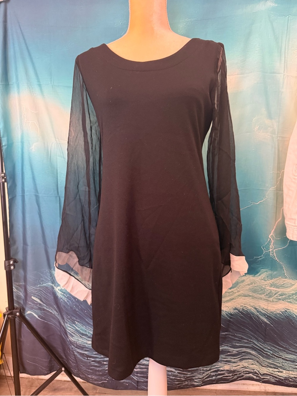 Analili Black Dress with Sheer Bishop Sleeves and White Cuff Trim